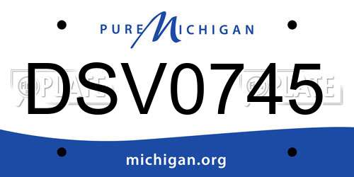 DSV0745 Michigan License Plate