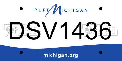 DSV1436 Michigan License Plate