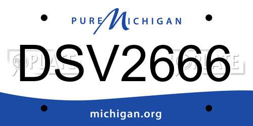 DSV2666 Michigan License Plate