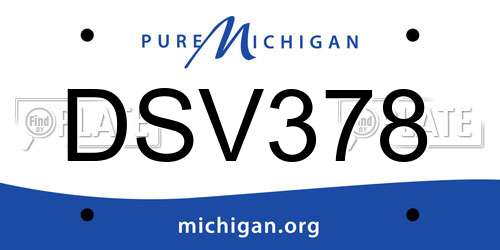 DSV378 Michigan License Plate
