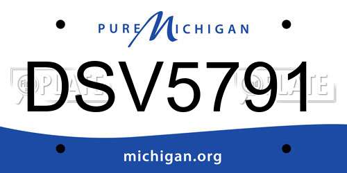 DSV5791 Michigan License Plate