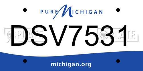 DSV7531 Michigan License Plate