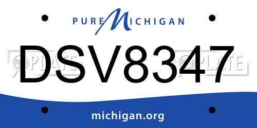 DSV8347 Michigan License Plate