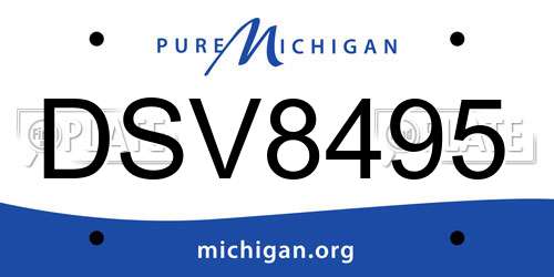 DSV8495 Michigan License Plate