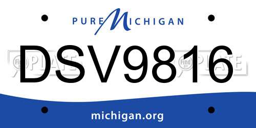 DSV9816 Michigan License Plate