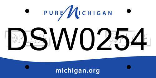 DSW0254 Michigan License Plate
