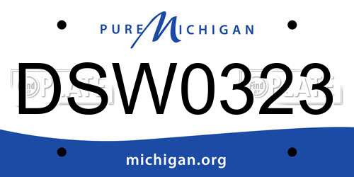 DSW0323 Michigan License Plate
