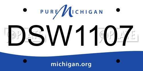 DSW1107 Michigan License Plate