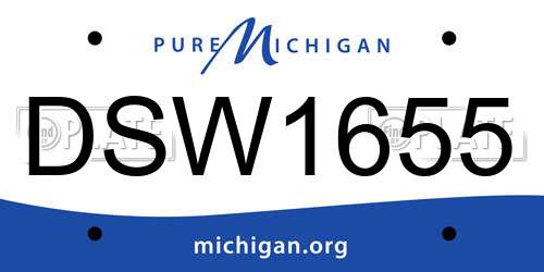 DSW1655 Michigan License Plate