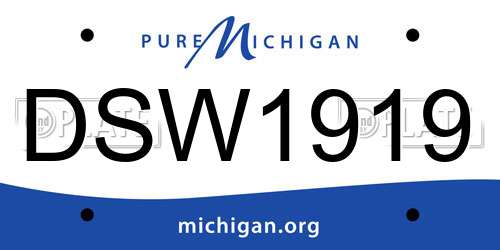 DSW1919 Michigan License Plate