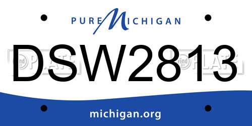 DSW2813 Michigan License Plate