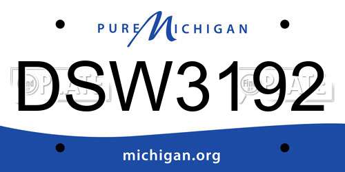 DSW3192 Michigan License Plate