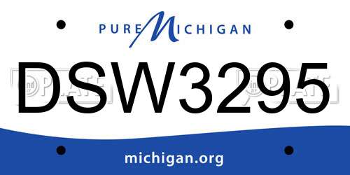 DSW3295 Michigan License Plate