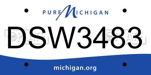 DSW3483 Michigan License Plate