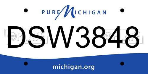 DSW3848 Michigan License Plate