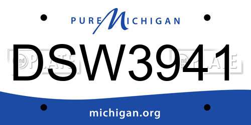 DSW3941 Michigan License Plate