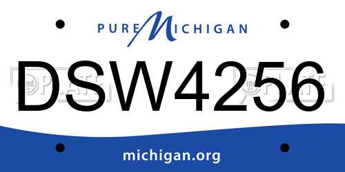 DSW4256 Michigan License Plate