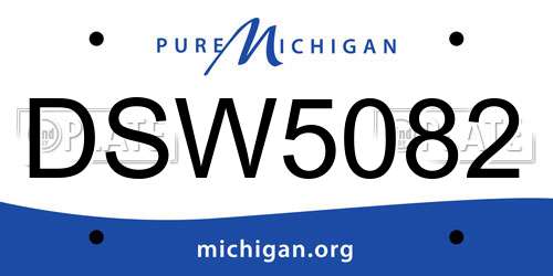 DSW5082 Michigan License Plate