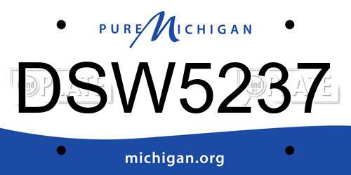 DSW5237 Michigan License Plate