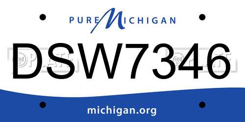 DSW7346 Michigan License Plate