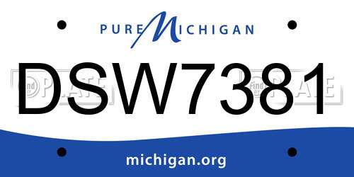 DSW7381 Michigan License Plate