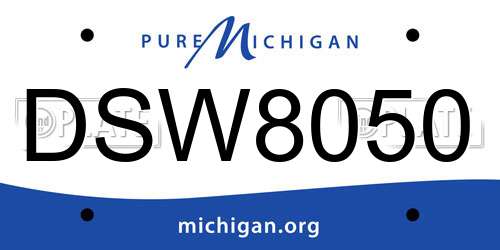 DSW8050 Michigan License Plate