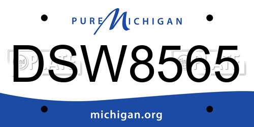 DSW8565 Michigan License Plate