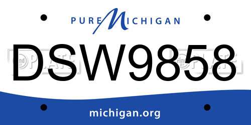 DSW9858 Michigan License Plate