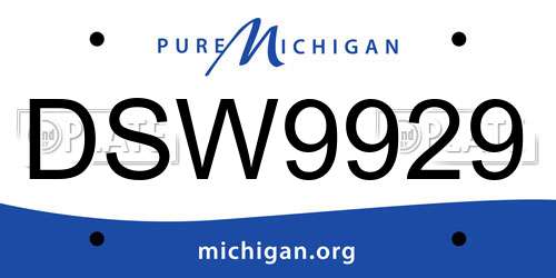 DSW9929 Michigan License Plate