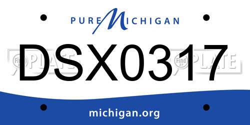 DSX0317 Michigan License Plate