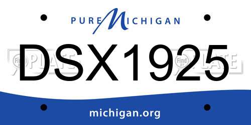 DSX1925 Michigan License Plate