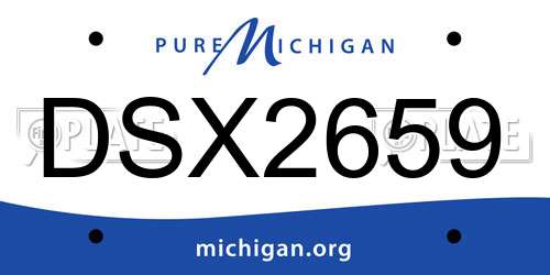 DSX2659 Michigan License Plate