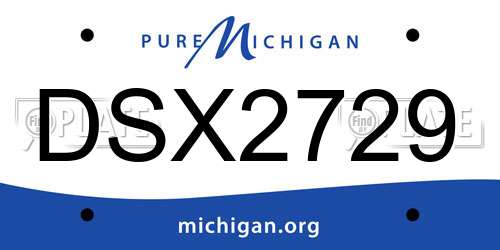 DSX2729 Michigan License Plate