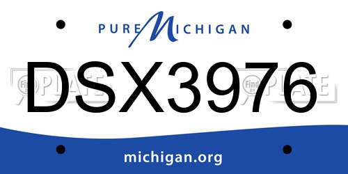 DSX3976 Michigan License Plate