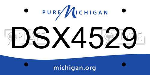 DSX4529 Michigan License Plate
