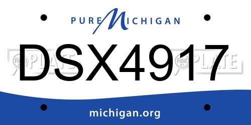 DSX4917 Michigan License Plate