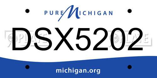 DSX5202 Michigan License Plate