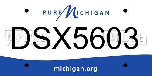 DSX5603 Michigan License Plate