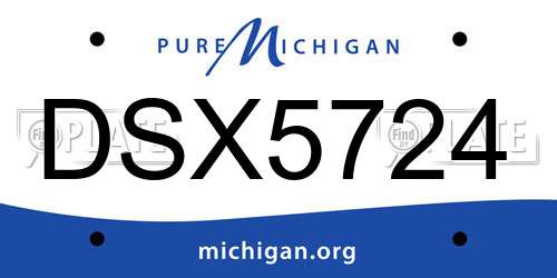 DSX5724 Michigan License Plate
