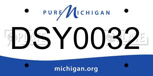 DSY0032 Michigan License Plate