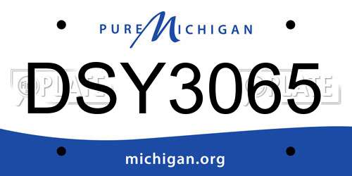 DSY3065 Michigan License Plate