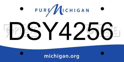 DSY4256 Michigan License Plate