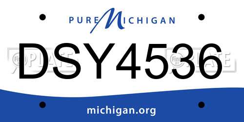 DSY4536 Michigan License Plate