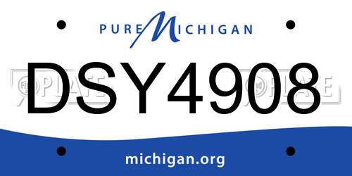 DSY4908 Michigan License Plate