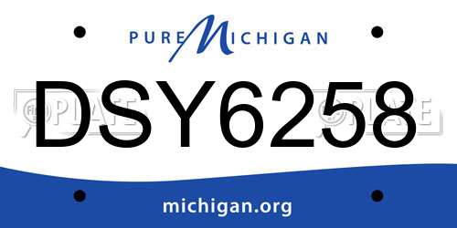 DSY6258 Michigan License Plate