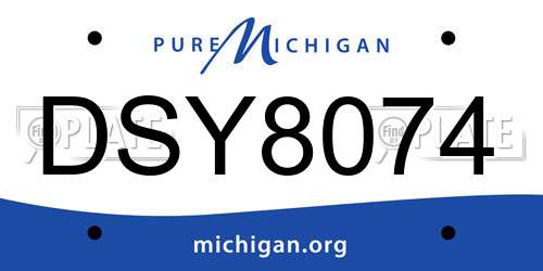 DSY8074 Michigan License Plate