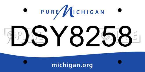 DSY8258 Michigan License Plate