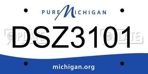 DSZ3101 Michigan License Plate