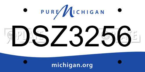 DSZ3256 Michigan License Plate