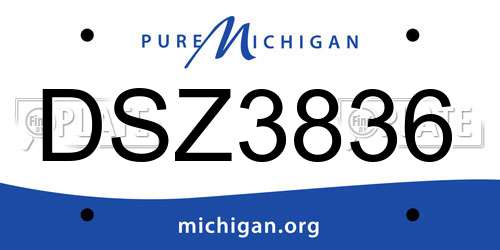 DSZ3836 Michigan License Plate